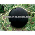Black Watermelon Seed for Planting